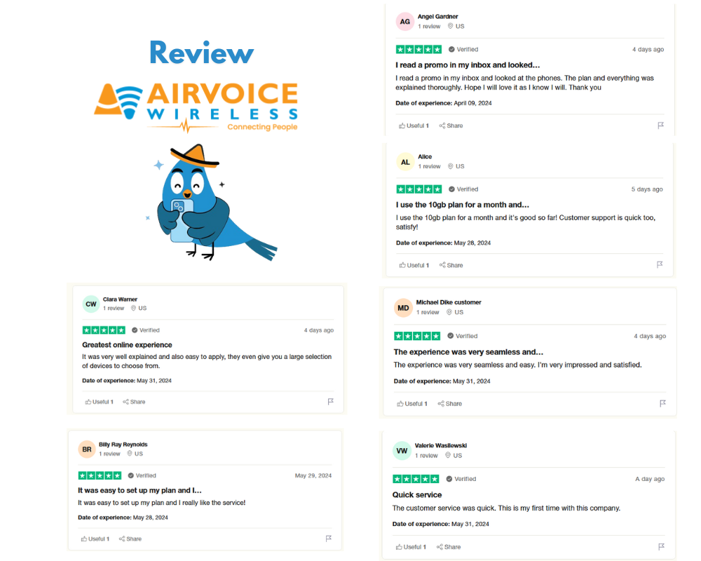 The User Experience with AirVoice Wireless